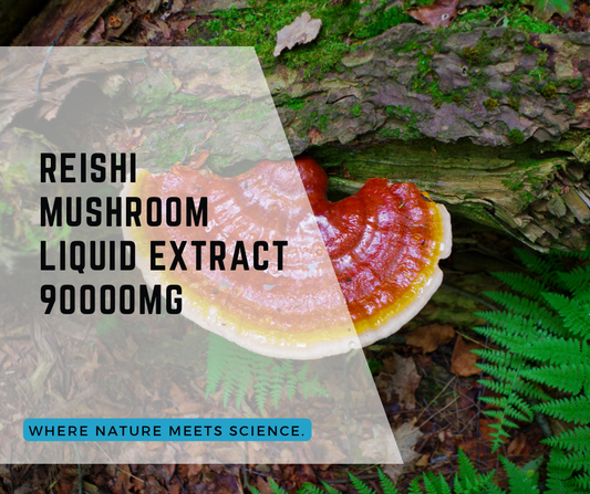 Reishi Mushroom Extract: An In-depth Exploration