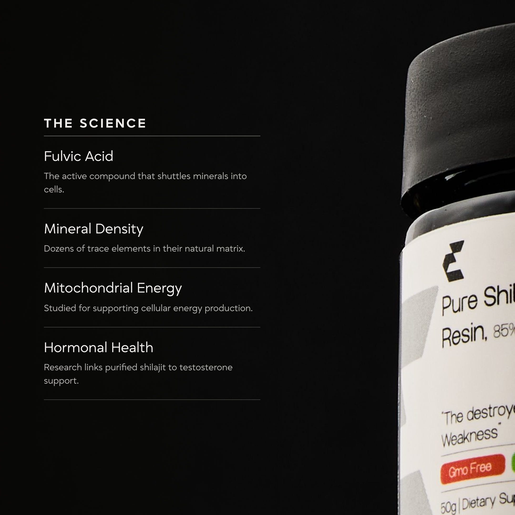 Pure Shilajit Resin | 50g