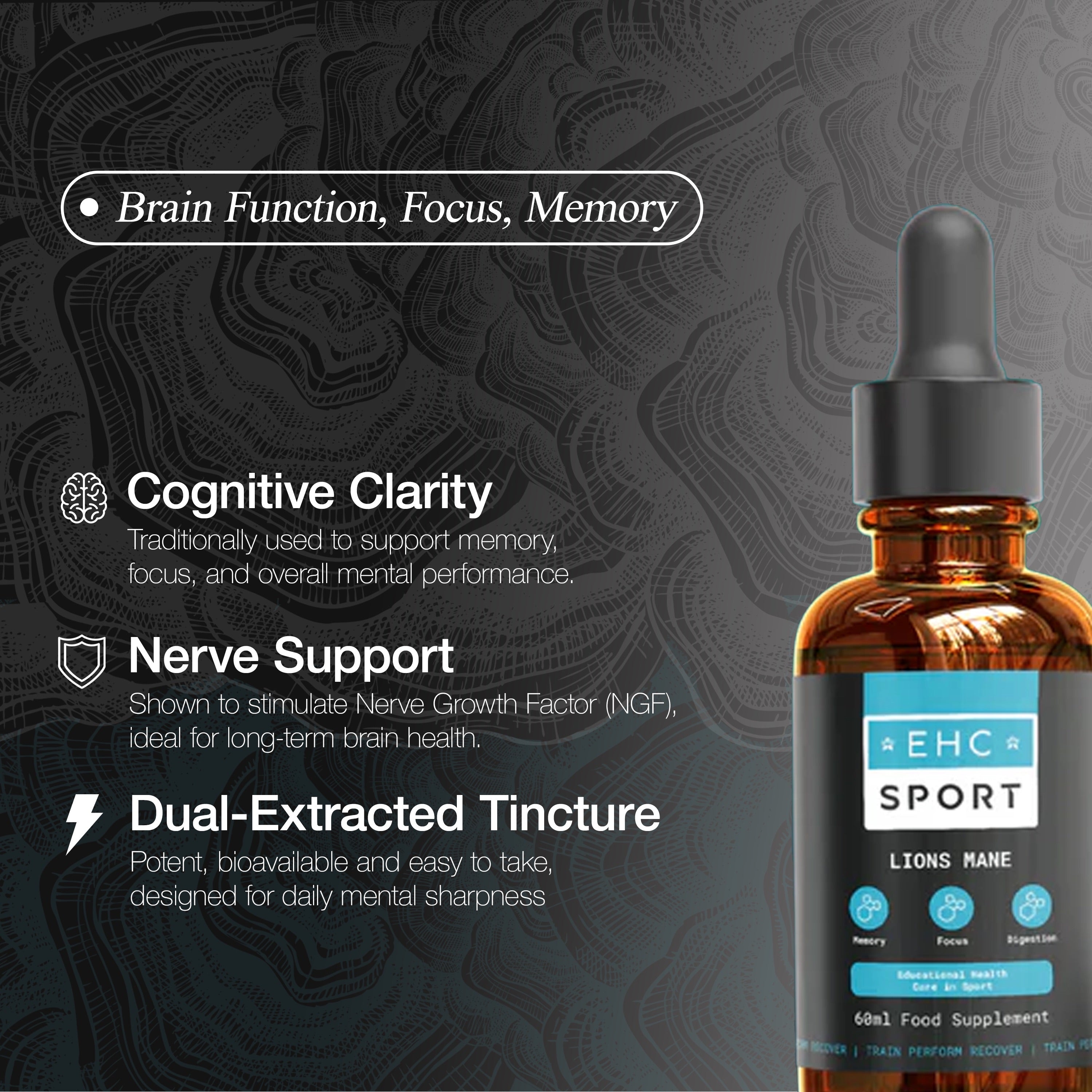 Lion's Mane Mushroom Extract - EHC Sport