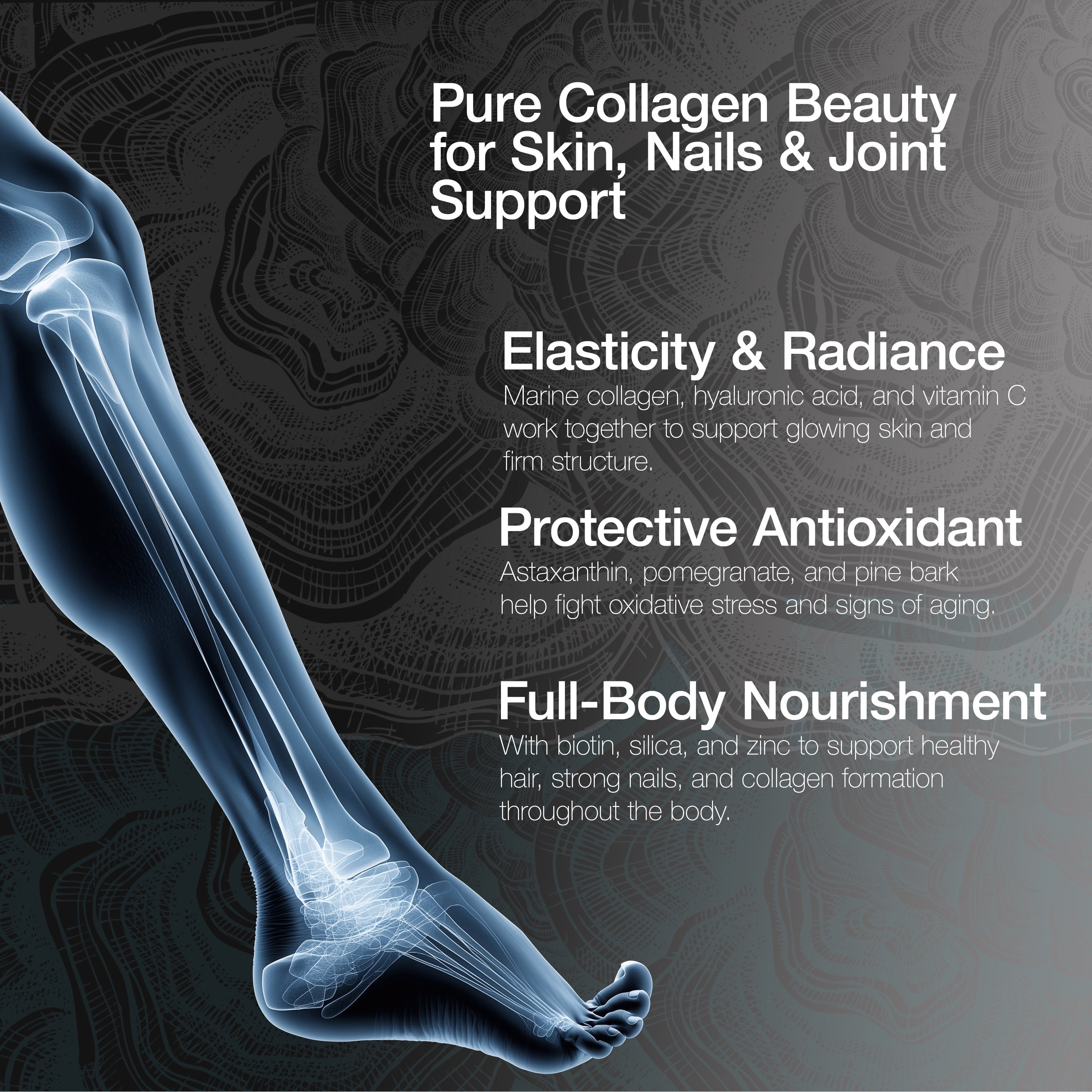 Pure Collagen | 60 Capsules - EHC Sport