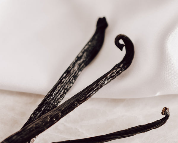 Madagascan vanilla