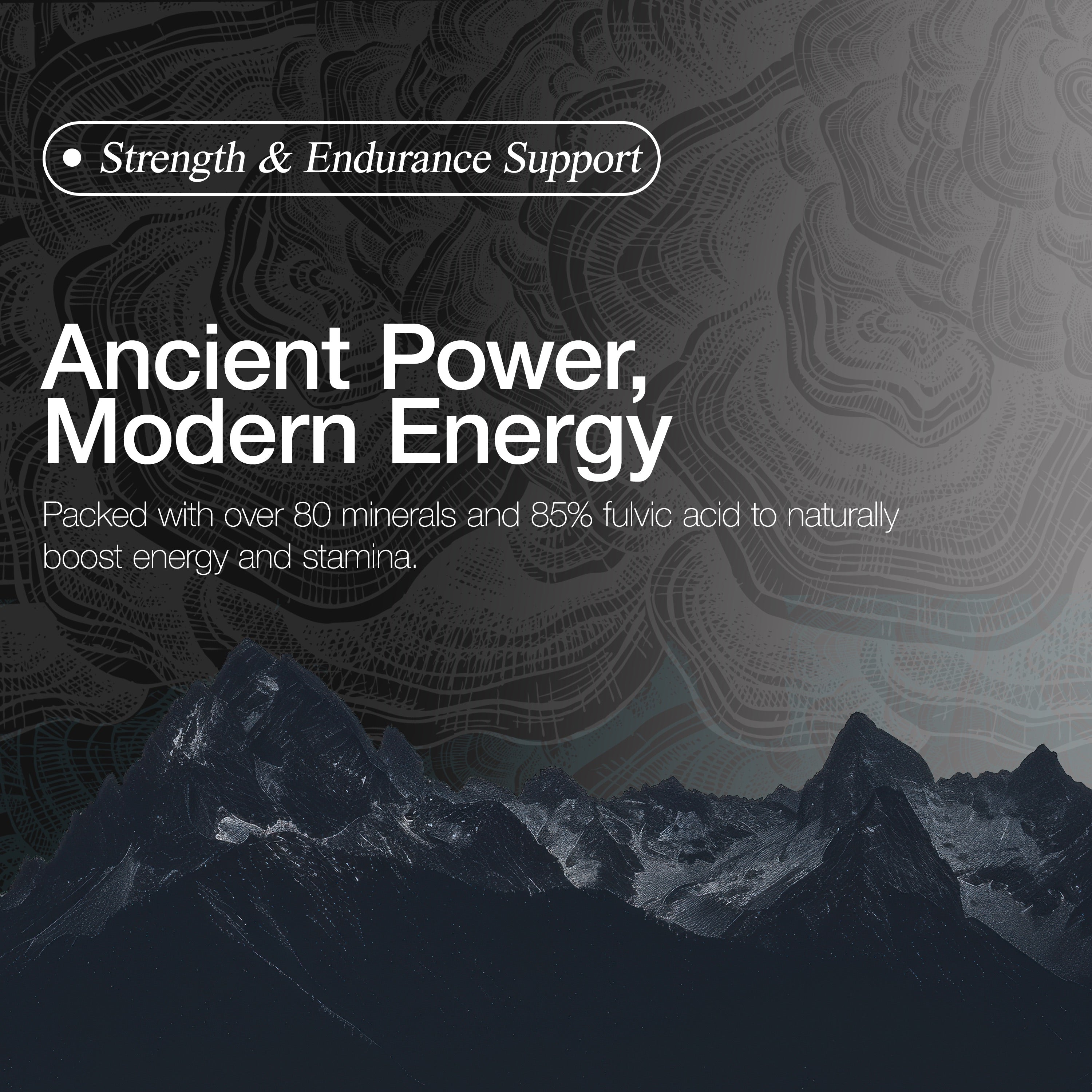 Shilajit Capsules | 60 Capsules - EHC Sport