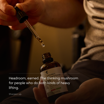 Lion's Mane Mushroom Extract