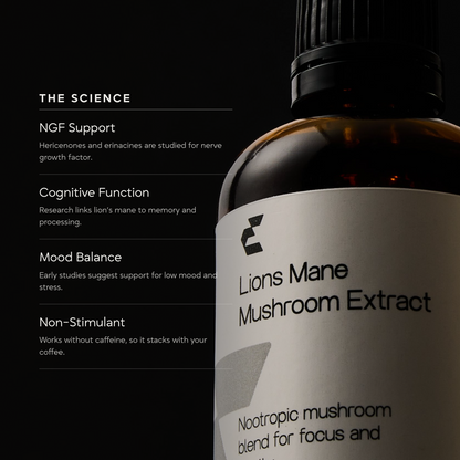 Lion's Mane Mushroom Extract