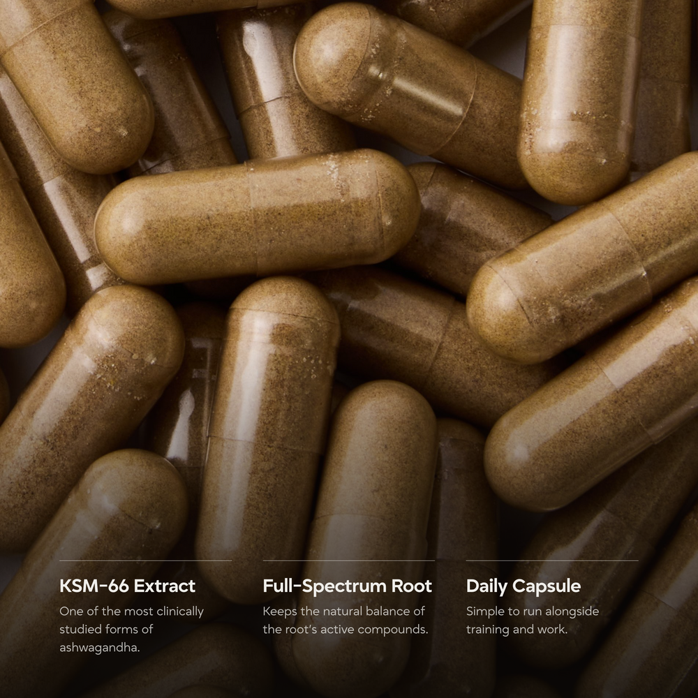 Ashwagandha & KM66 | Botanicals - EHC Sport