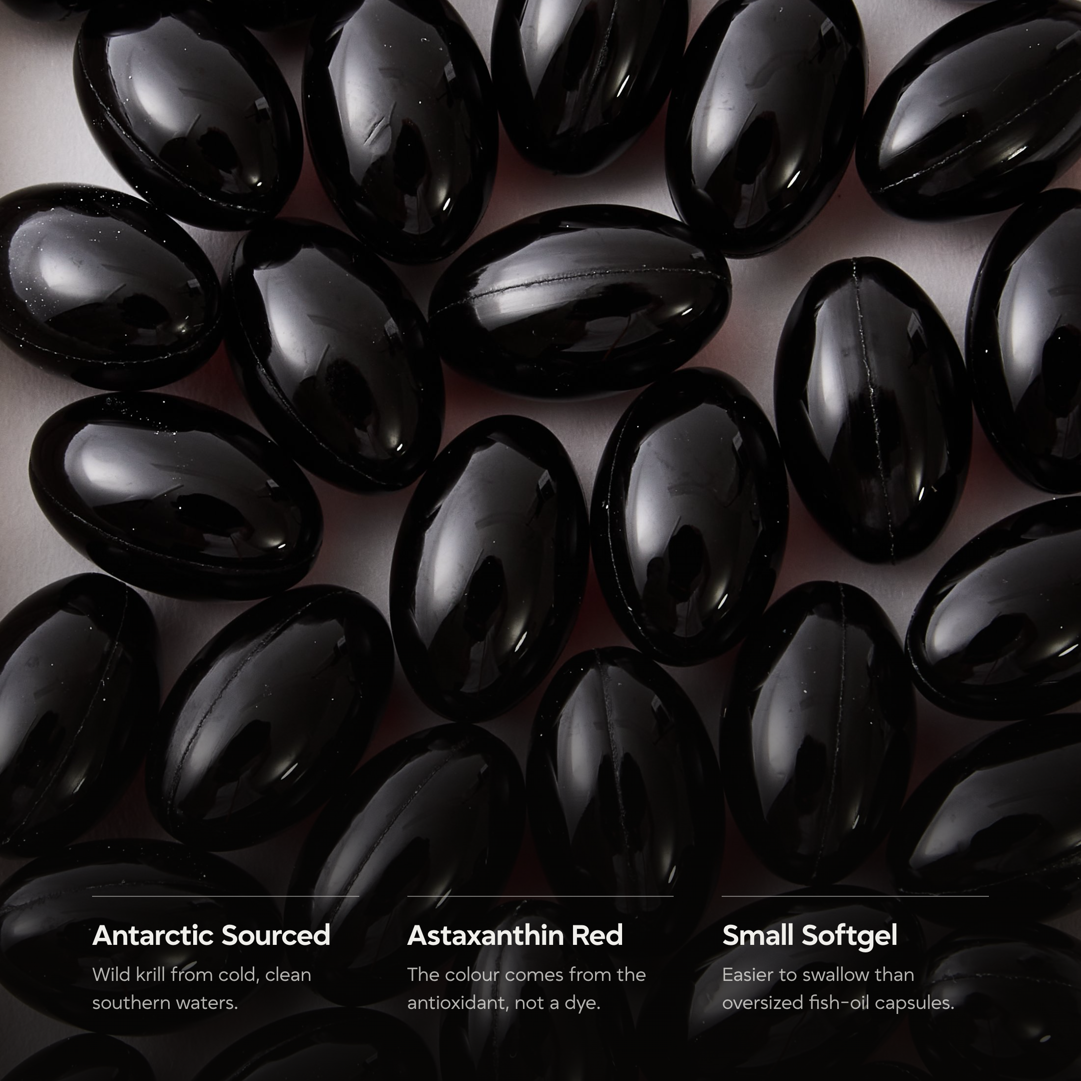 Antarctic krill oil | Sustainably Sourced