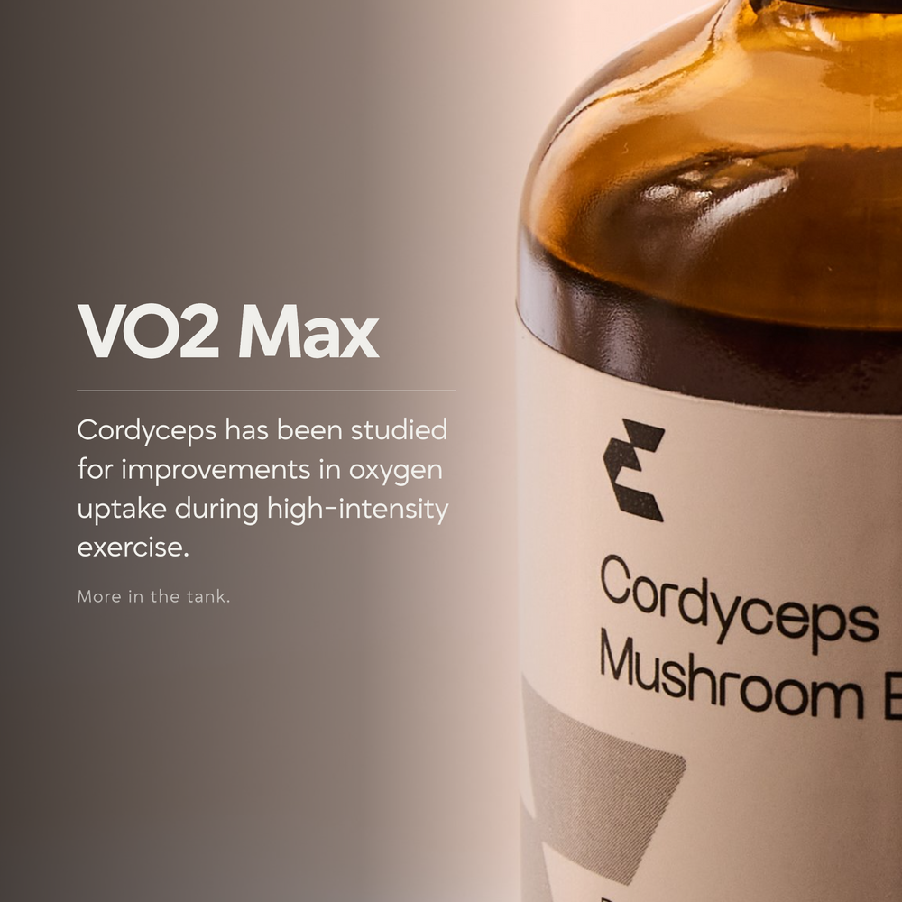 Cordyceps Mushroom Extract - EHC Sport