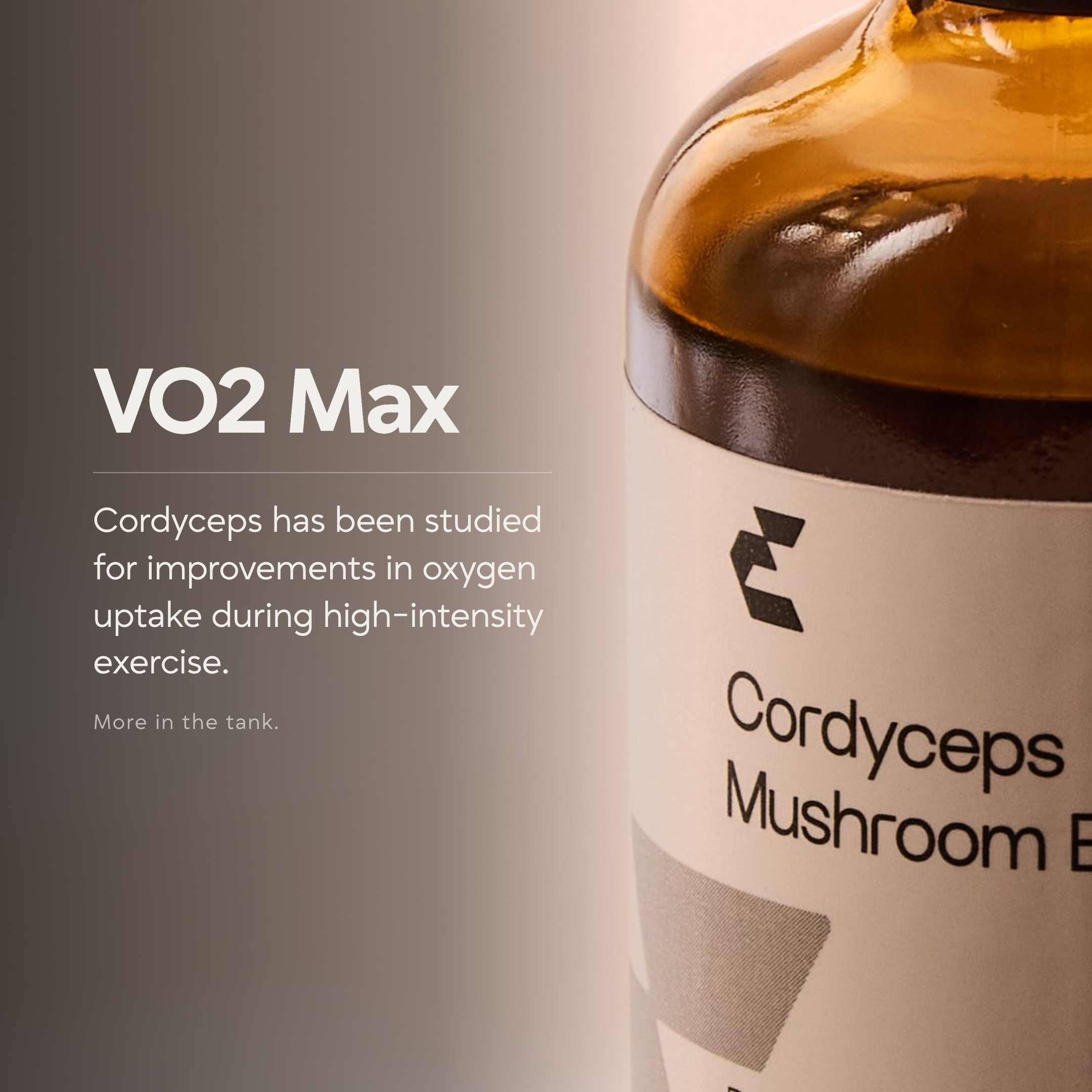 Cordyceps Mushroom Extract