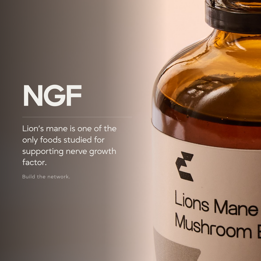 Lion's Mane Mushroom Extract - EHC Sport