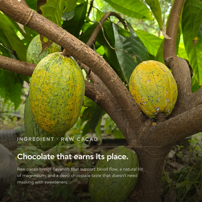 Primal Protein | Raw Ecuadorian Cacao & Madagascar Vanilla