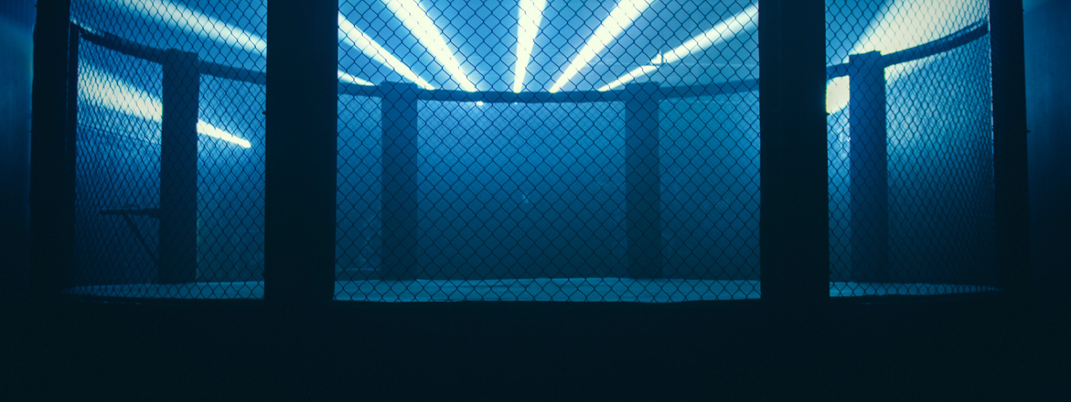 EHC Sport MMA Cage 