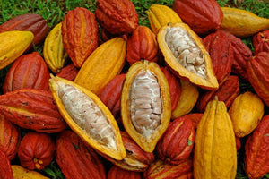 Raw Cacao