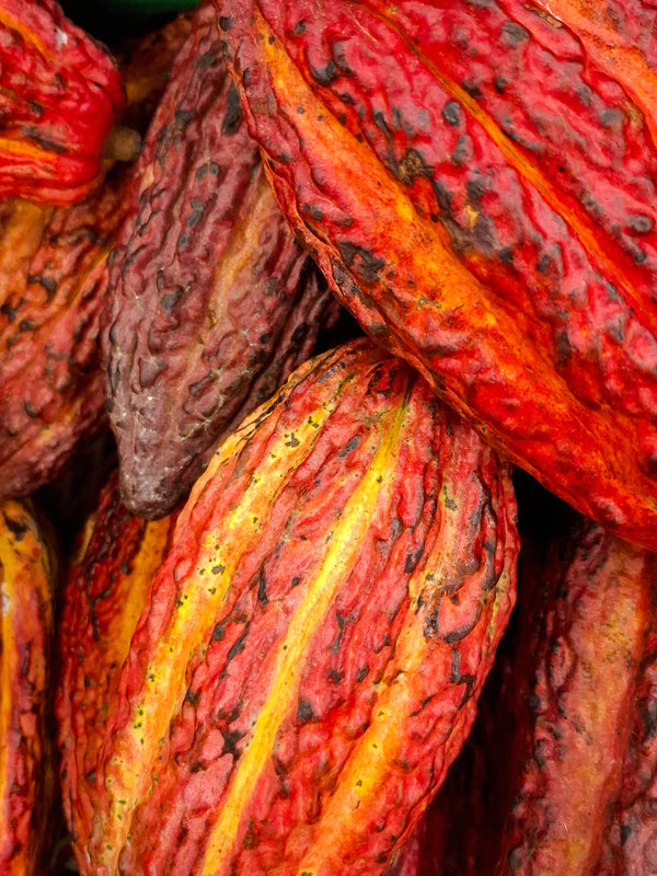 Raw cacao